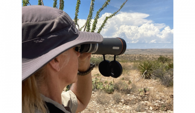 AllOutdoor Review: Maven B6 12x50mm Binoculars – Bring a Fresh View