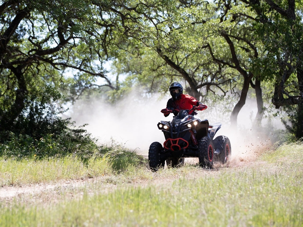 2023 Can-Am Renegade AO AllOutdoor