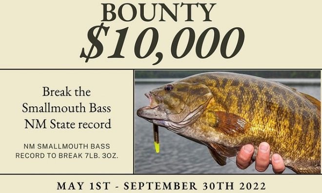 Catch a New Mexico State Record Smallmouth Bass – Win $10,000 Catch a New Mexico State Record Smallmouth Bass – Win $10,000