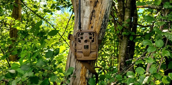 Moultrie Mobile – Intelligent Game Management this Autumn