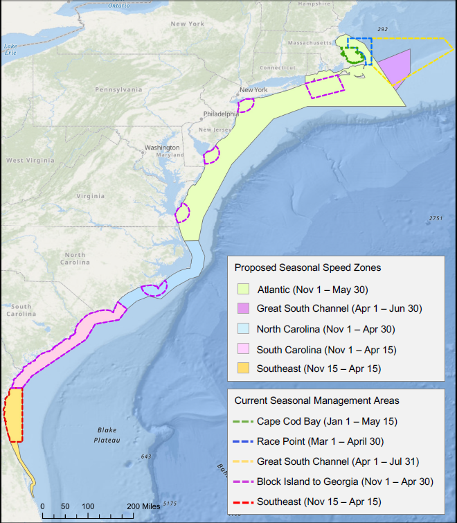 Speed Restriction Proposal Threaten Marine Industries