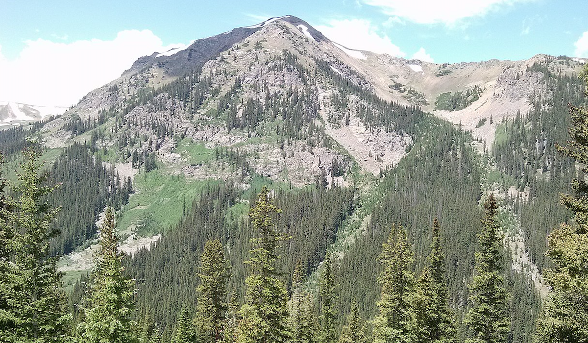 Colorado Migration Corridor Conserved By Rocky Mountain Elk Foundation