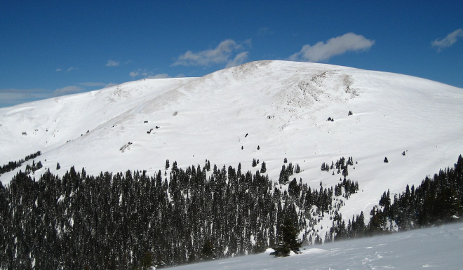 Colorado Migration Corridor Conserved By Rocky Mountain Elk Foundation