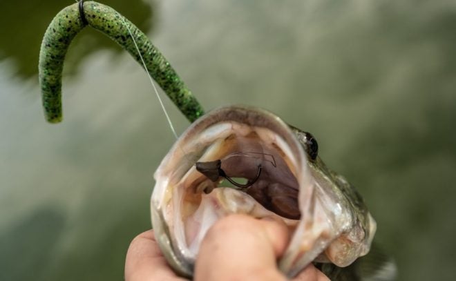 TSS Tungsten Putty: Fishing Weight Innovation – Dial In EXACT Weights TSS Tungsten Putty: Fishing Weight Innovation – Dial In EXACT Weights