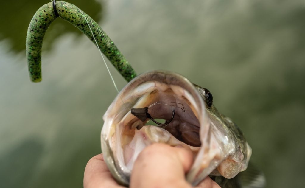 TSS Tungsten Putty: Fishing Weight Innovation – Dial In EXACT Weights TSS Tungsten Putty: Fishing Weight Innovation – Dial In EXACT Weights