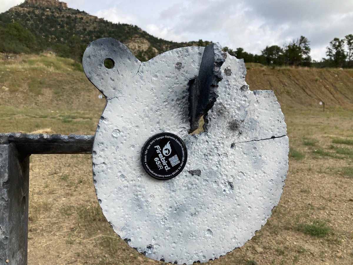 AllOutdoor Review: Firebird Detonating Targets – Confirm Hits with a Bang