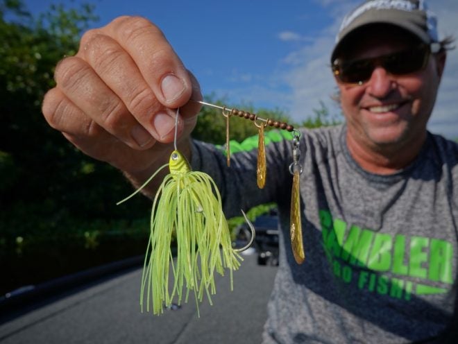 Gambler Lures Returns Gambler Ninja Spinnerbait: Back from the Dead