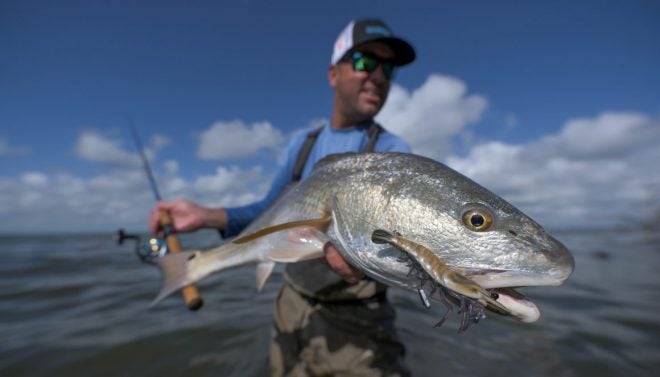 New LIVETARGET Live Shrimp Hard Body, Saltwater Lure