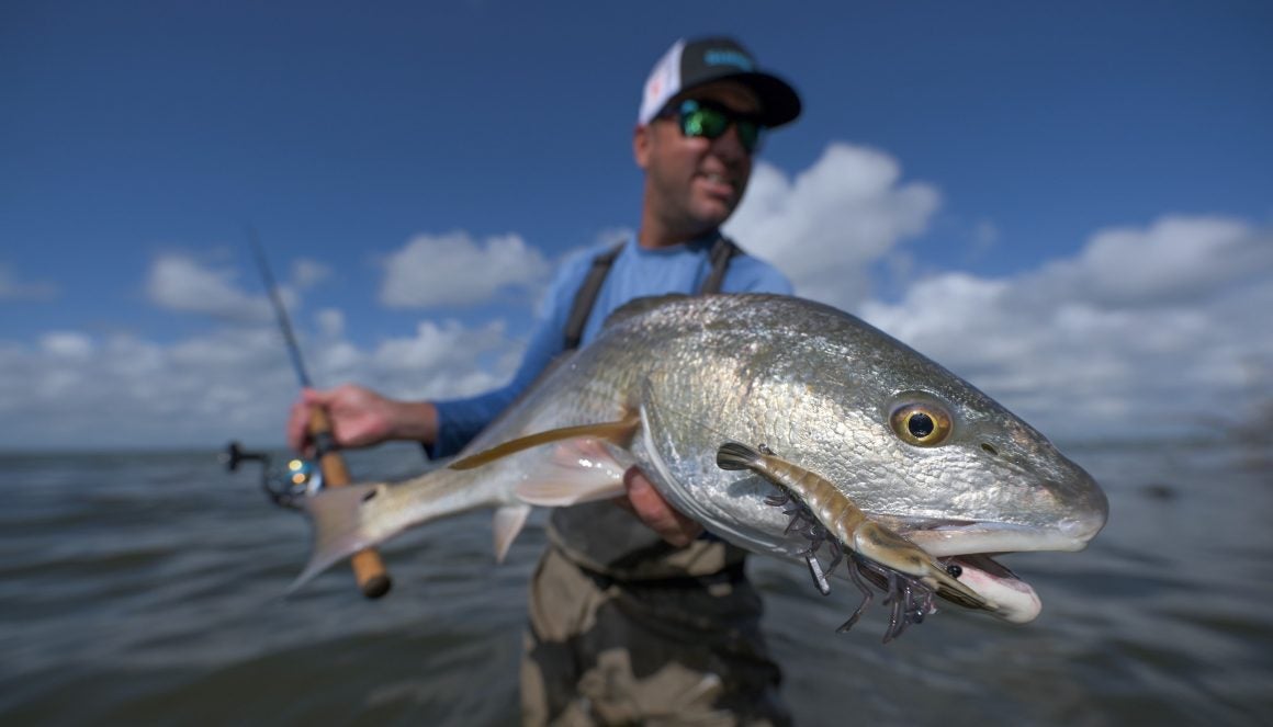 New LIVETARGET Live Shrimp Hard Body, Saltwater Lure New LIVETARGET Live Shrimp Hard Body, Saltwater Lure