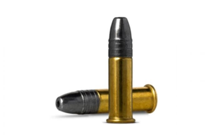 22 subsonic rounds 22 subsonic rounds