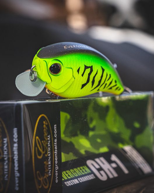 Daiwa’s NEW CH-1 Shallow-Running Crankbait Patterns