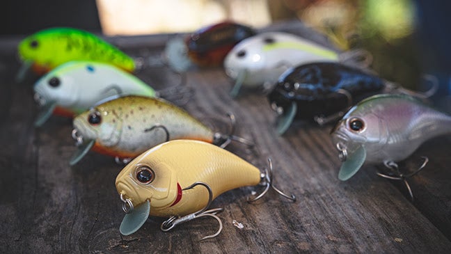 Daiwa's NEW CH-1 Shallow-Running Crankbait Patterns