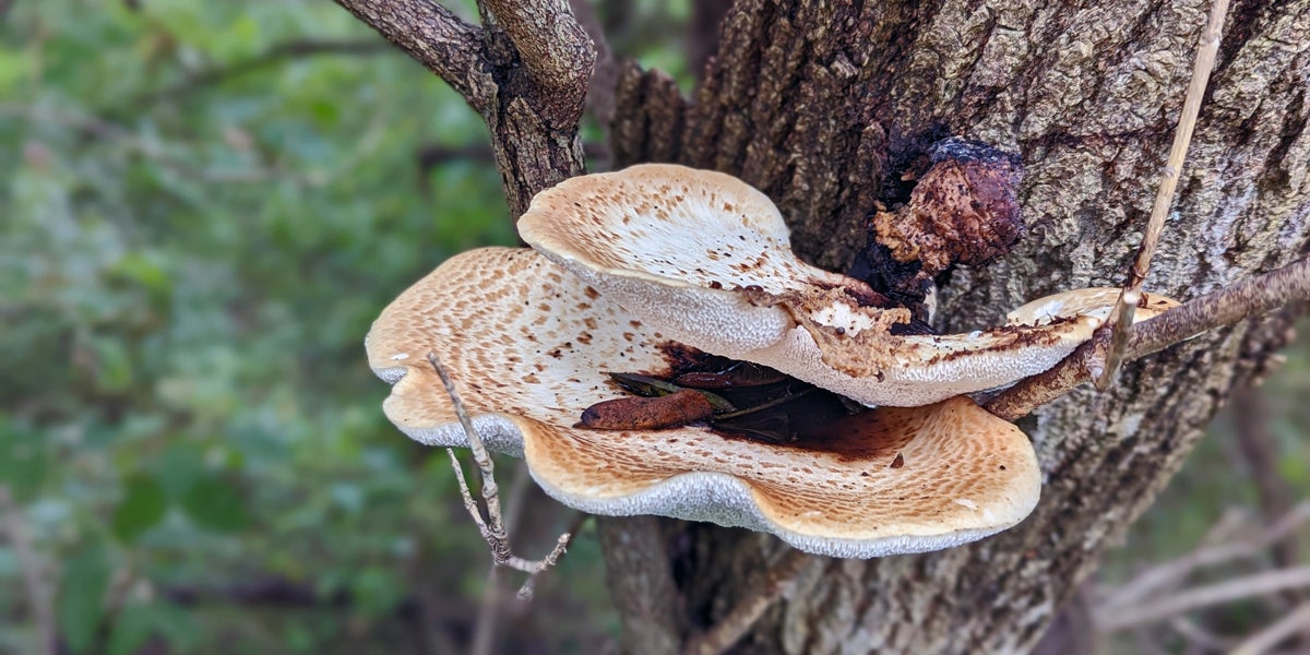 Cuyahoga National Park ohio