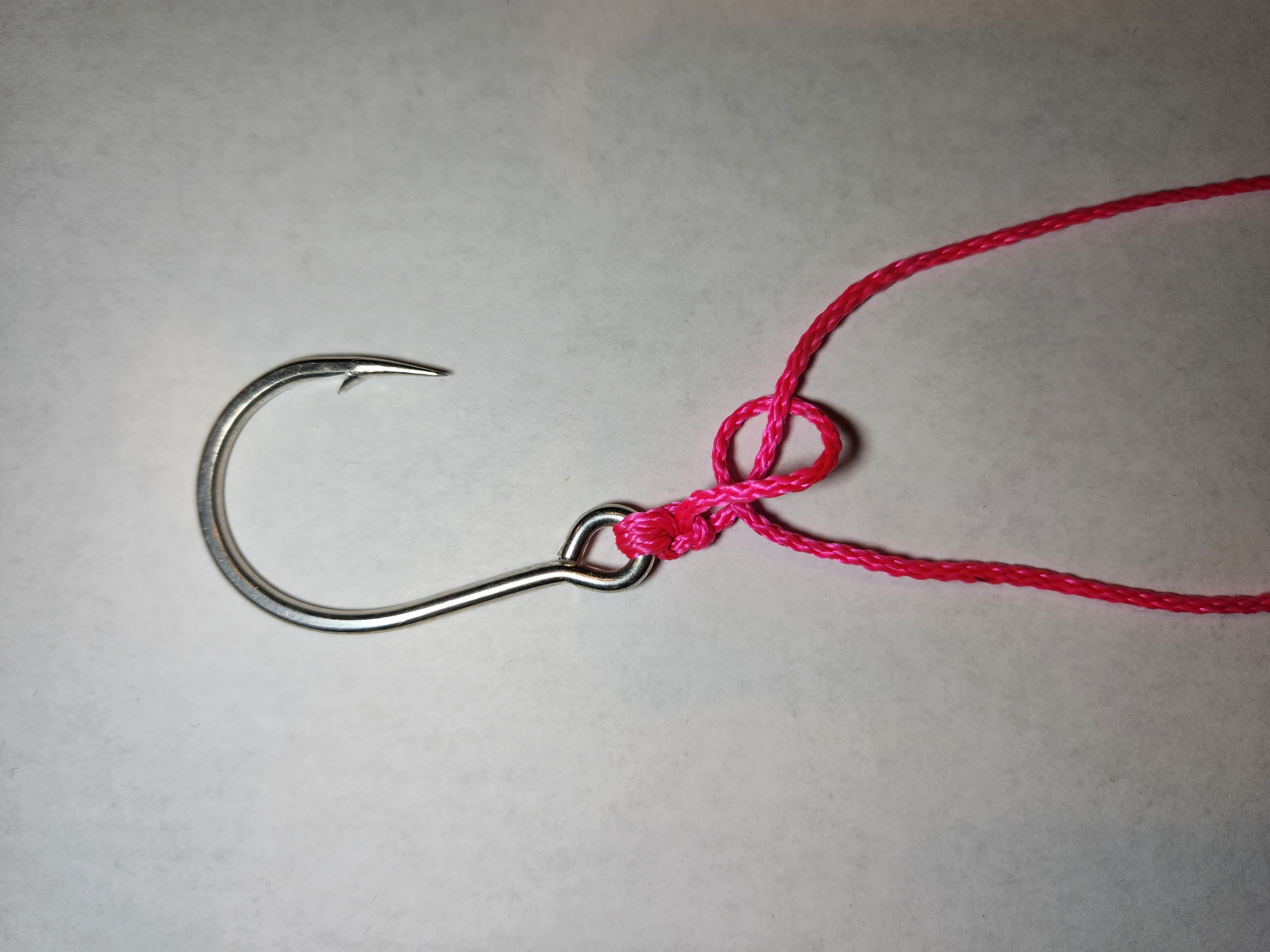 Are You Nuts? Know your Fishing Knots! – TN Knot