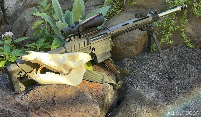 POTD: JP Enterprises LRP-07 Brings Home the Bacon from Hawaii