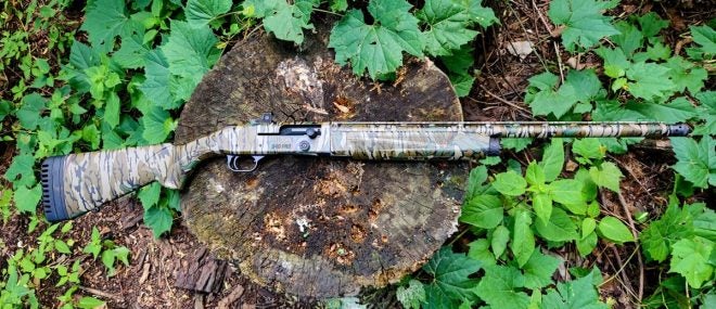 Mossberg 940 Pro Turkey Bestowed Award of “2022 Best New Shotgun”