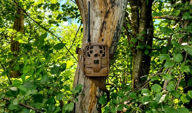 Home On The Range #030: Moultrie Mobile Delta Base Cellular Camera