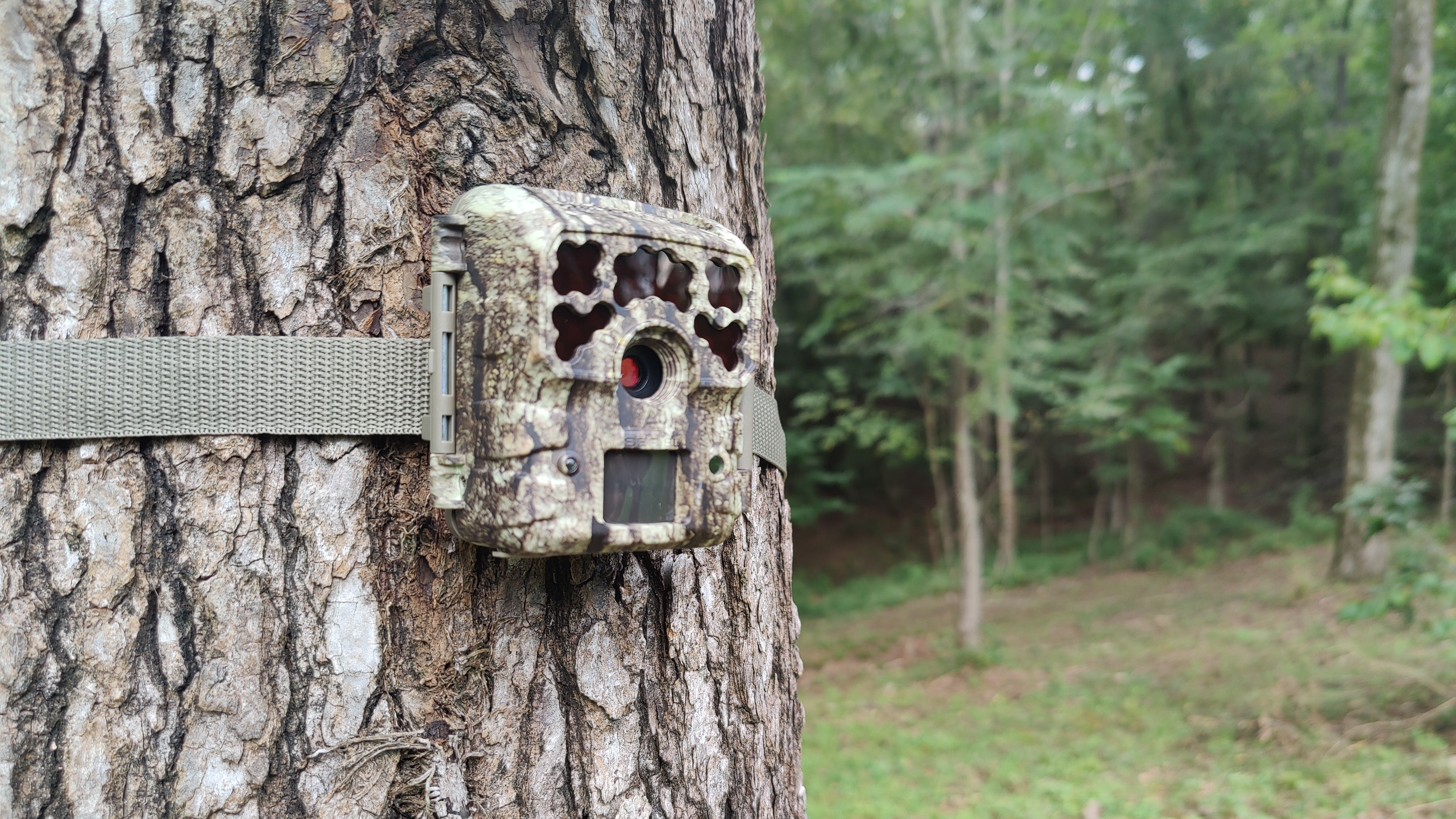 Moultrie Deer Feeder Pro II Micro-42 trail cam AllOutdoor AO