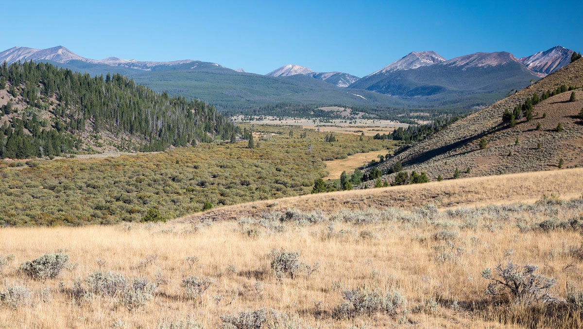 Big Hole Valley Habitat