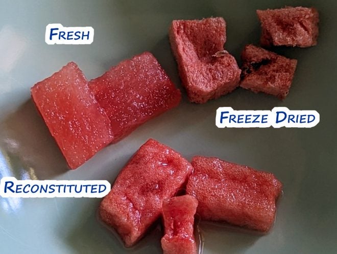 The Path Less Traveled #067: Freeze Drying Basics – Fruit