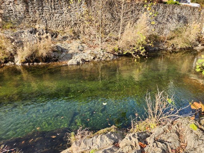 Trying to Catch Rainbow Trout in Gatlinburg, Tennessee