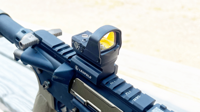 AllOutdoor Review: Leupold DeltaPoint Pro w/ AR Mount