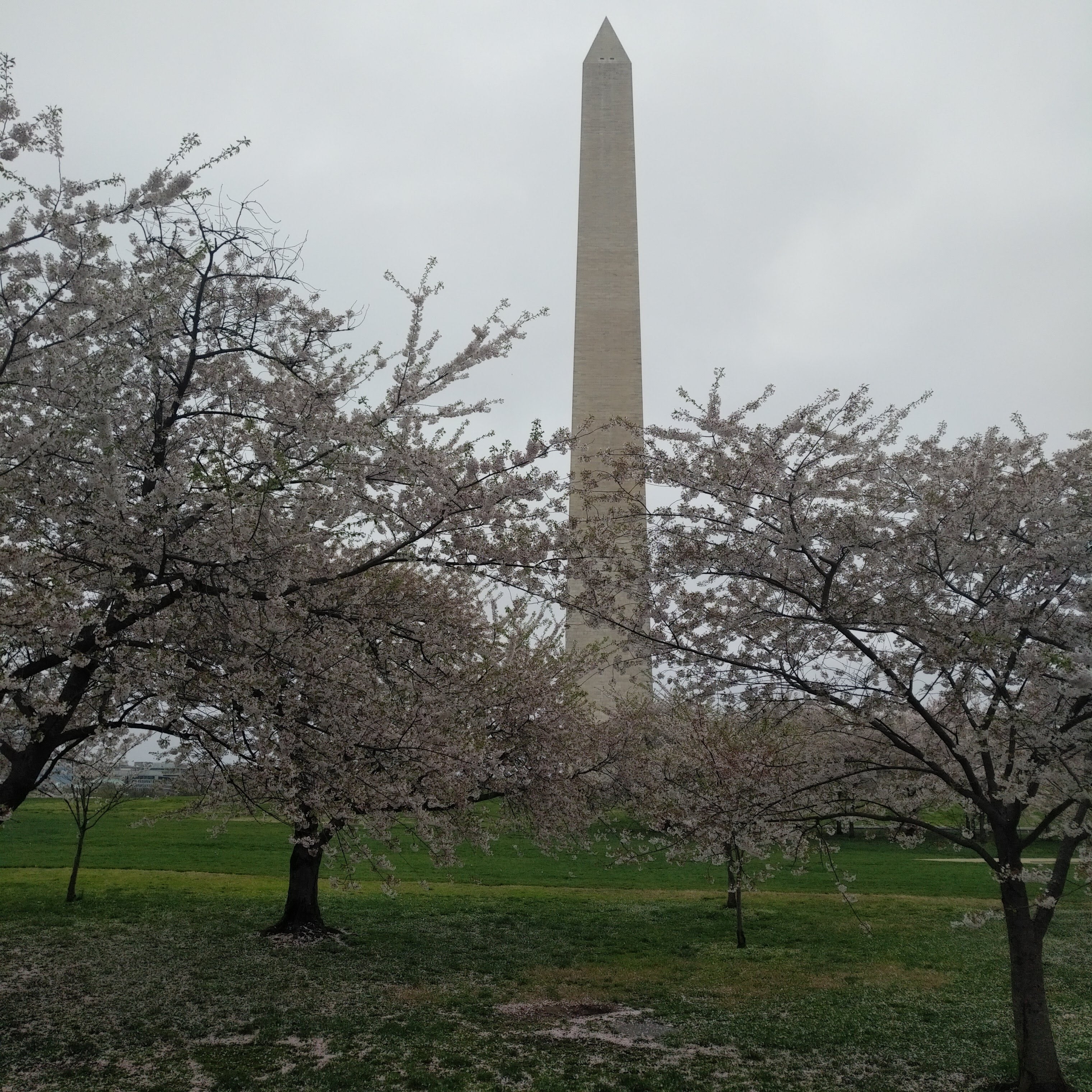 Stealth Camping Washington DC