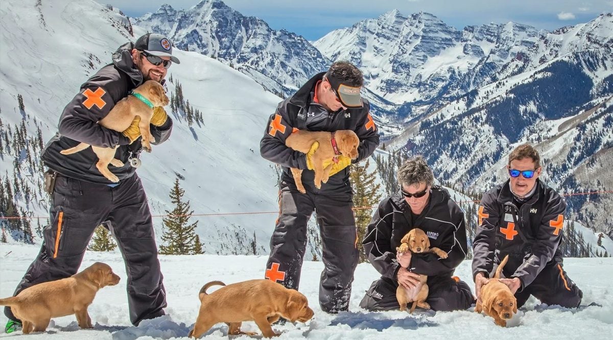 Colorado Rapid Avalanche Deployment