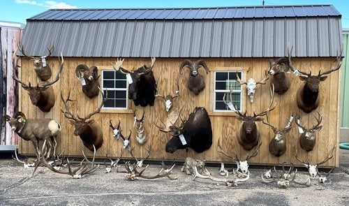 One of the Largest Poaching Busts in Wyoming History
