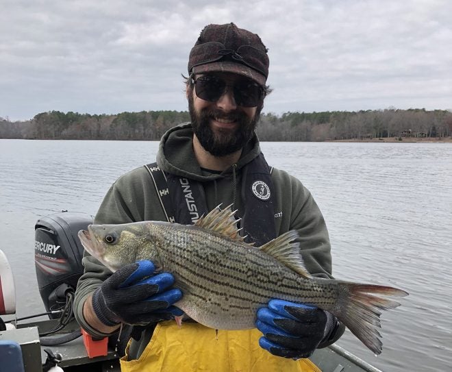 Illegal Hybrid Bass Found in Lake Chesdin of Virginia