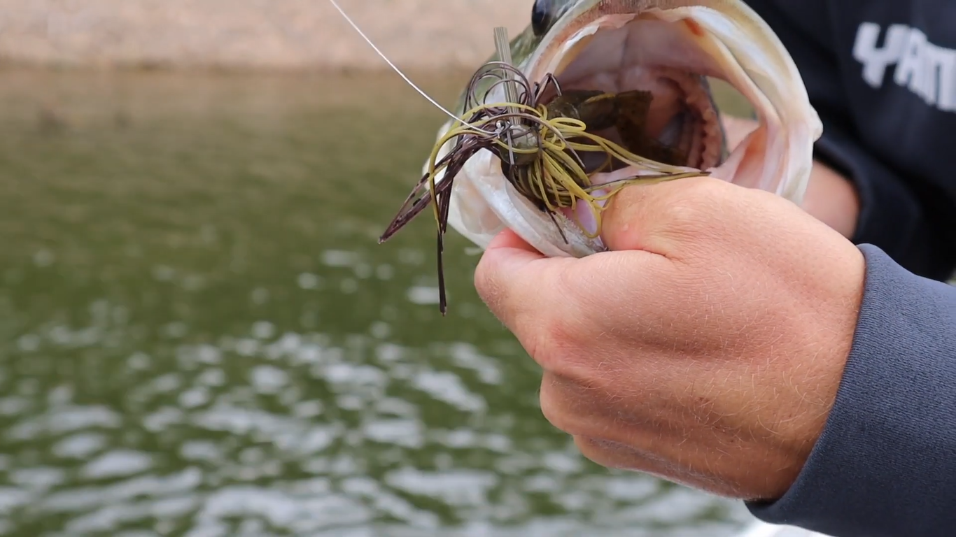 NEW Yama Craw from Yamamoto Baits: Fast, Tight Irresistible