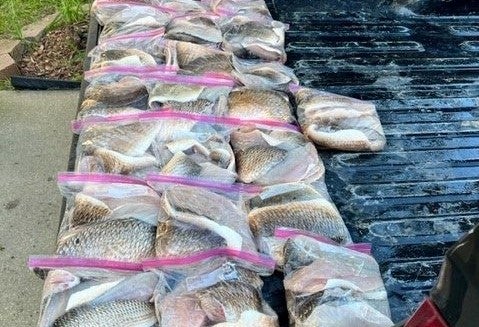Louisiana Dept of Wildlife & Fisheries Cites 3 Men for Red Drum Violations Louisiana Dept of Wildlife & Fisheries Cites 3 Men for Red Drum Violations