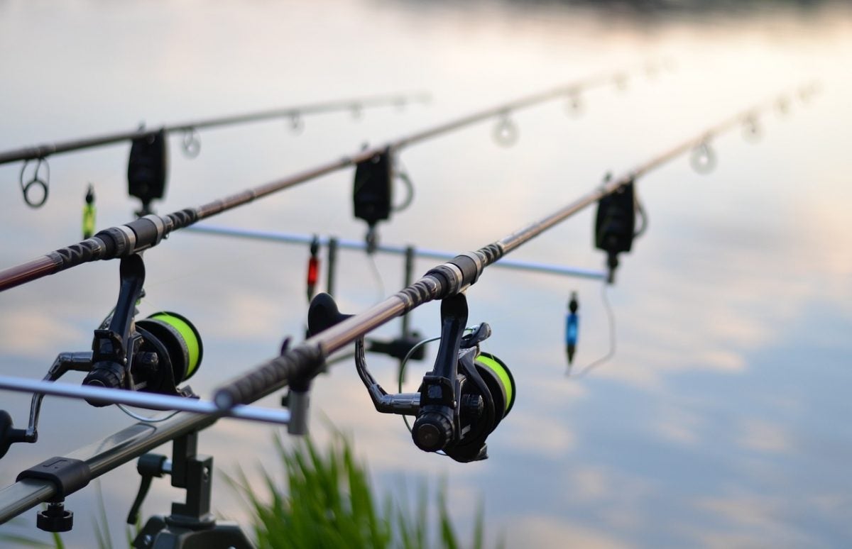 Common Fishing Rod Comparison Guide – The Good, The Bad, The Ugly Common Fishing Rod Comparison Guide – The Good, The Bad, The Ugly