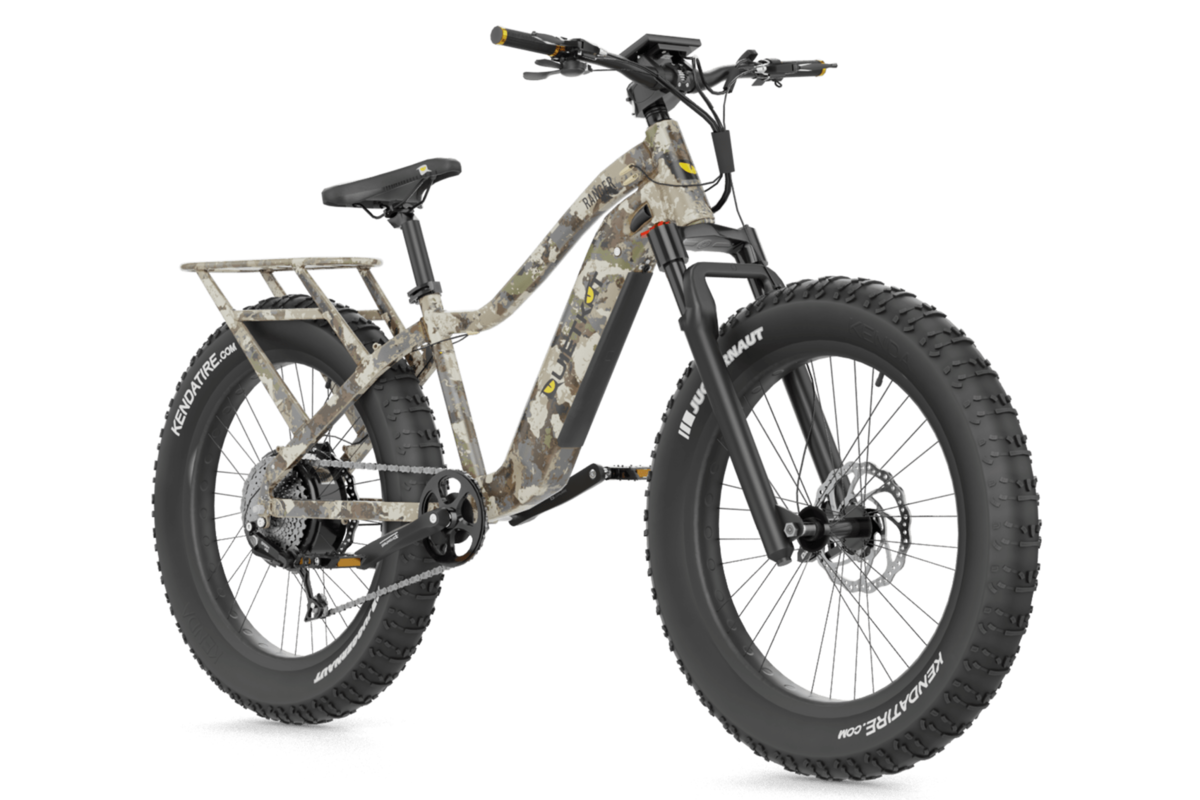 ebikes