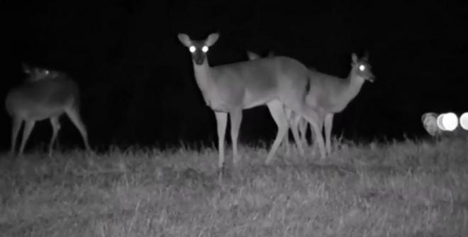 Hunting in the Dark – Types of Night Vision Compared