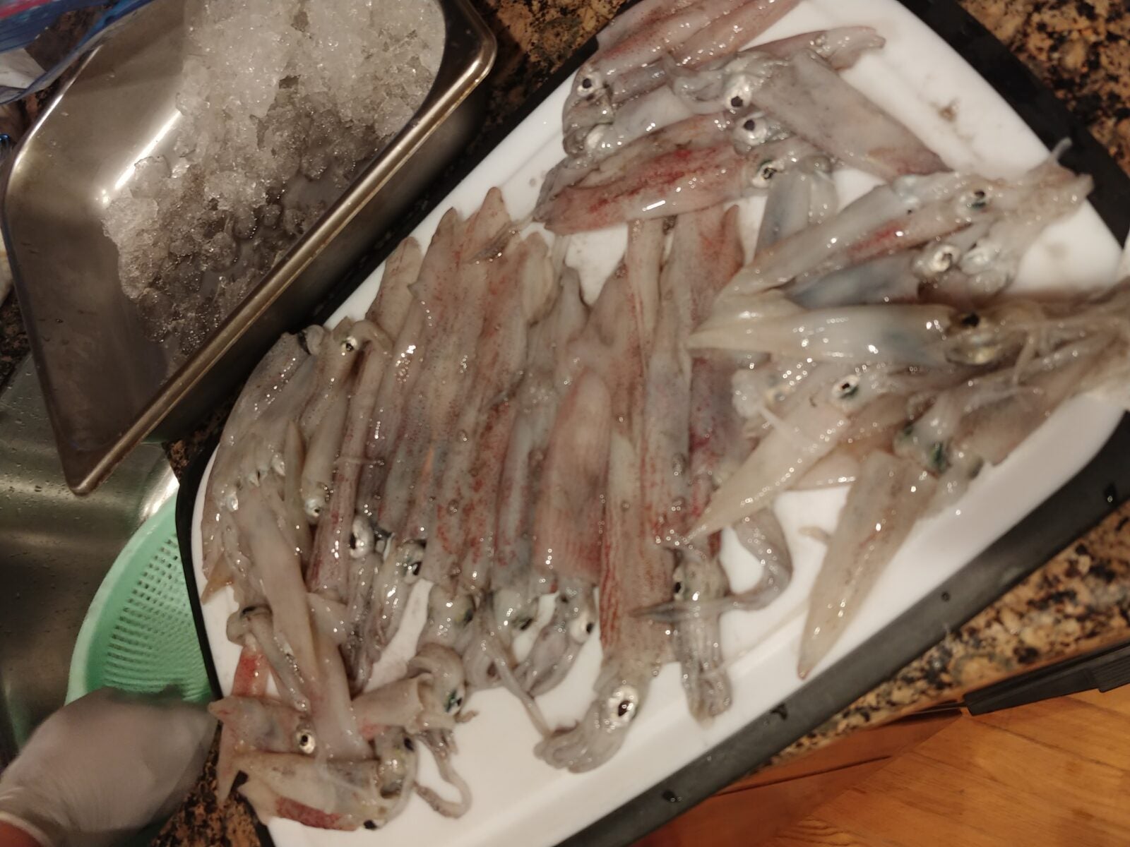 Cook your Catch – Spring Squid (Crispy Calamari)