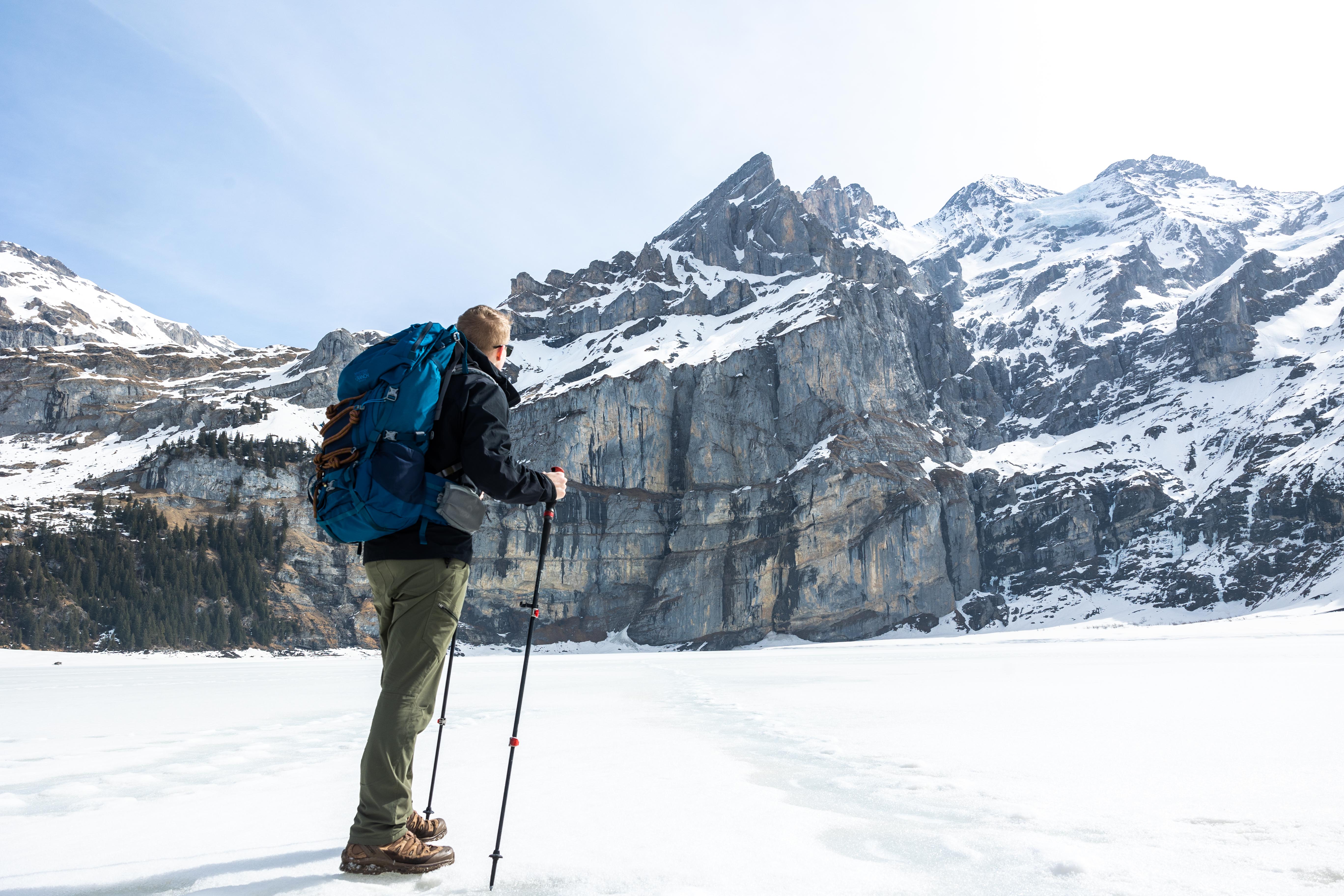 Black Diamond Trail Pro Shock Trekking Poles