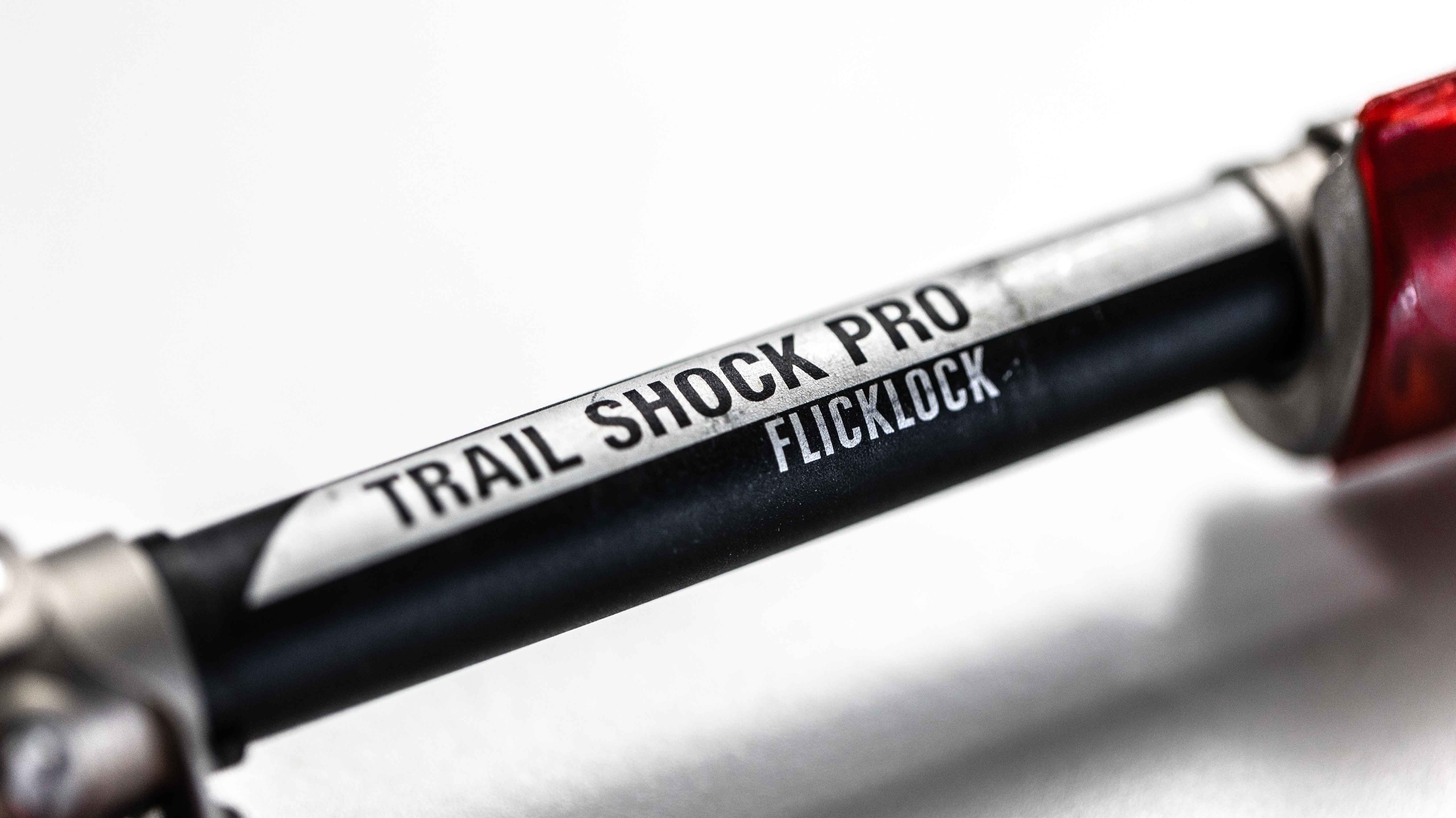 Black Diamond Trail Pro Shock Trekking Poles