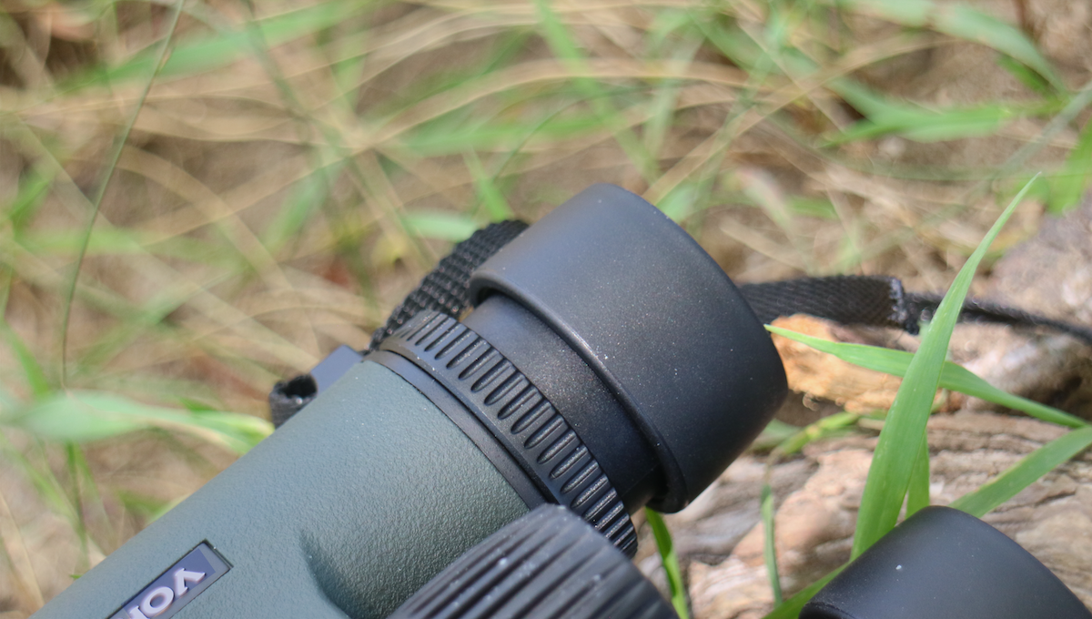 AllOutdoor Review: Vortex Triumph HD 10x42 Binocular