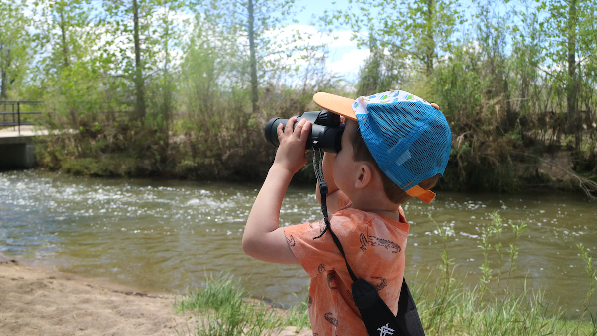 AllOutdoor Review: Vortex Triumph HD 10x42 Binocular