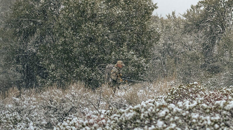 NextImg:Savage's New 400 Legend Rifles: New Straight-Walled Hunting Kings?