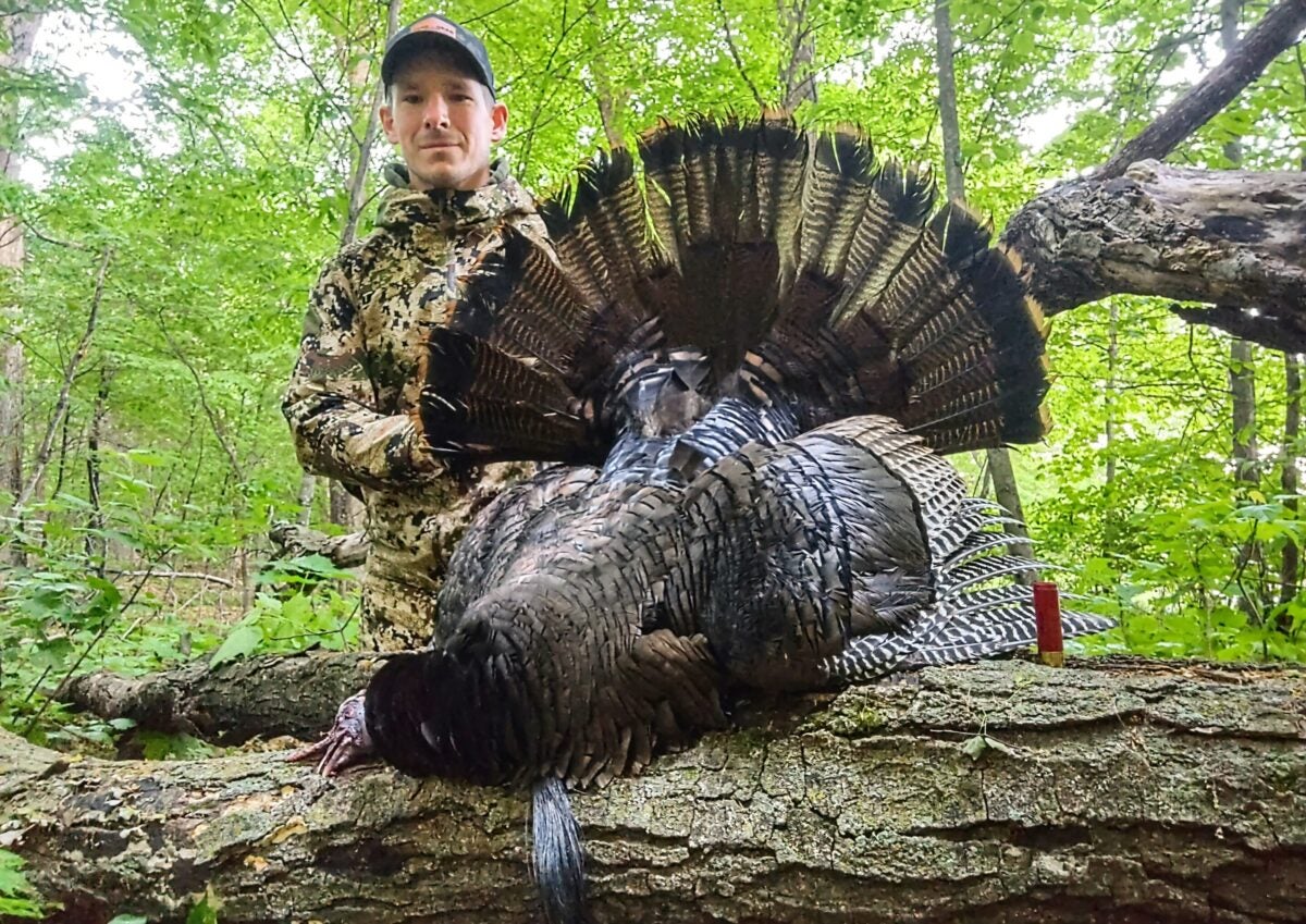 turkey hunting