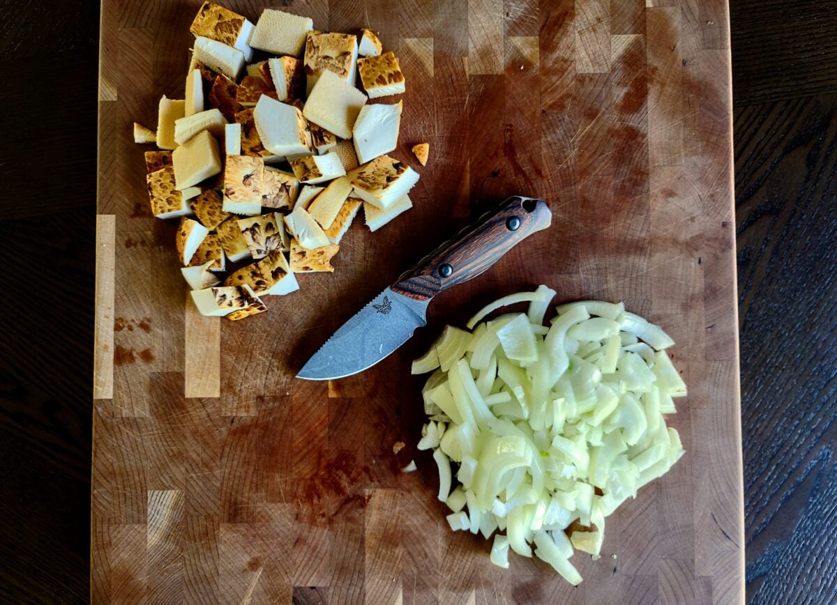 pheasant back mushrooms