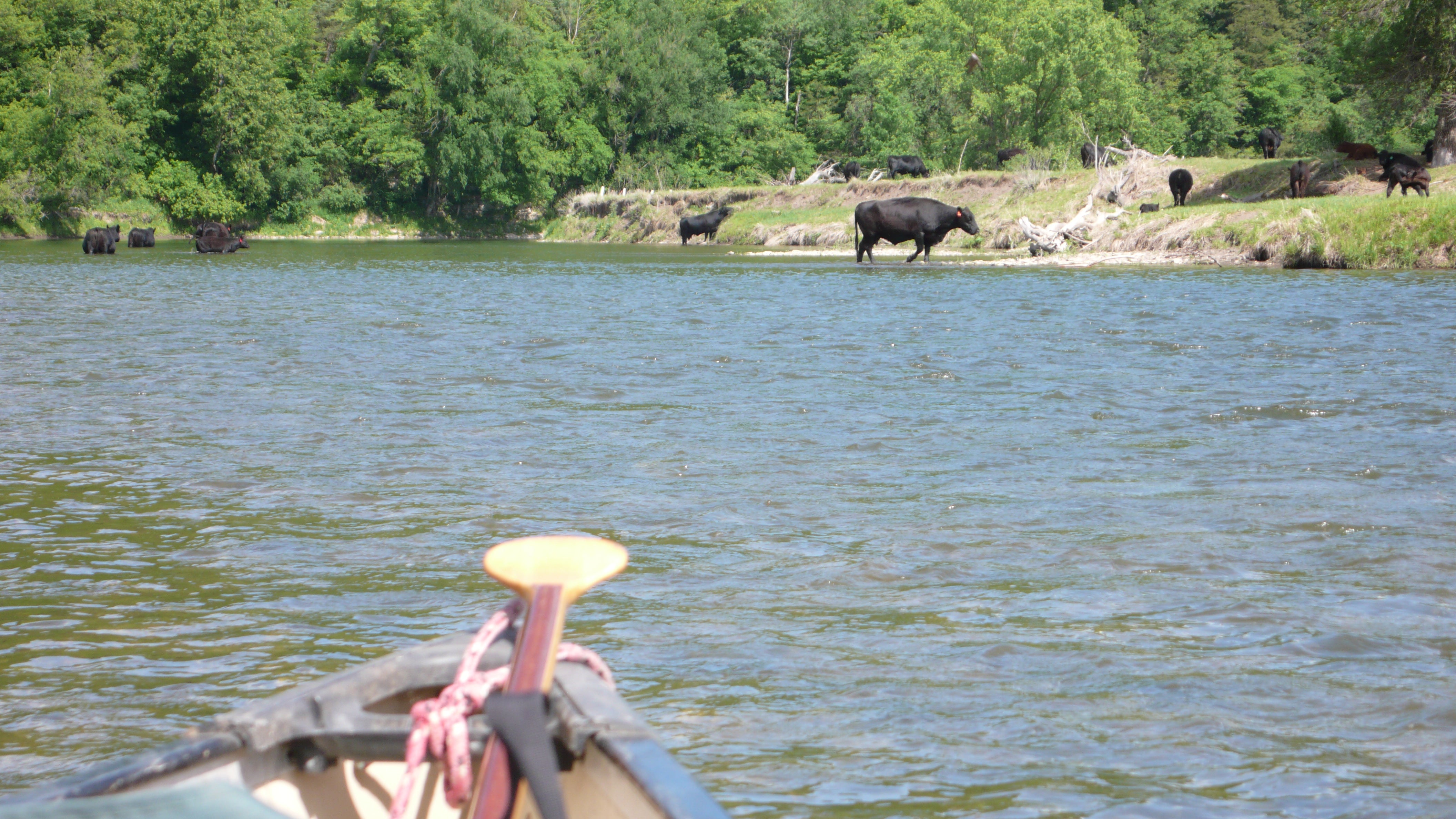 Upper Iowa River Review