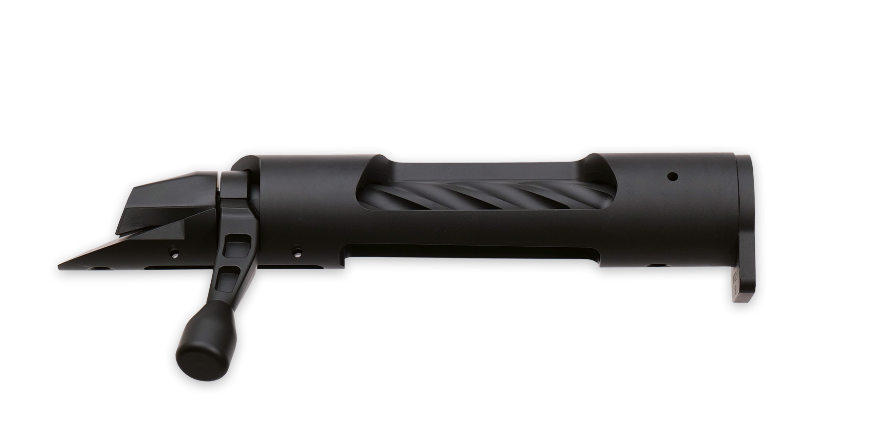 Weatherby's Newest Chapter: The Model 307