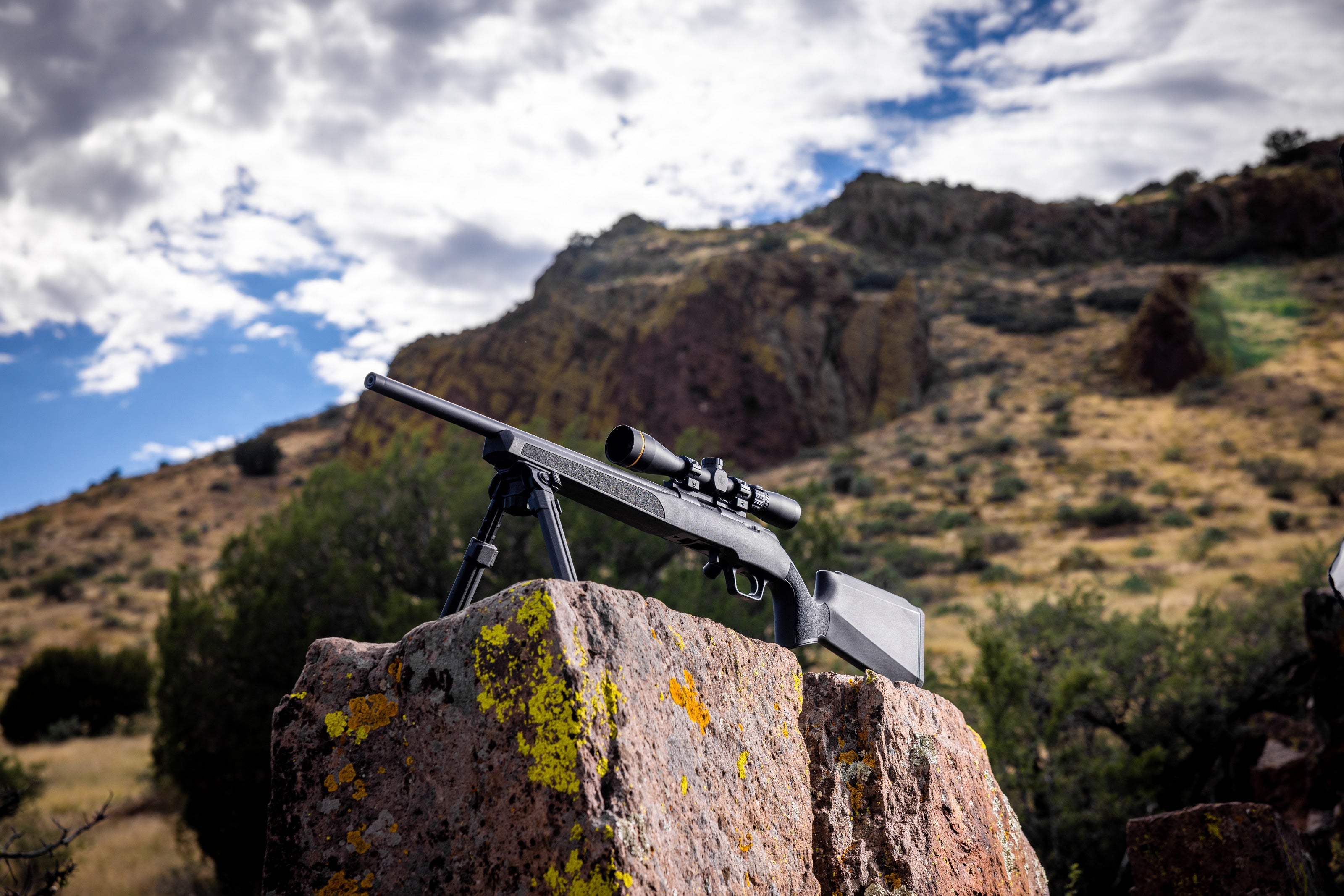 Introducing Springfield Armory's Latest: The Model 2020 Rimfire Rifles