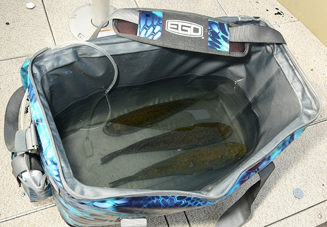 Triple Duty with EGO’s Fish and Weigh-In Cooler Bag