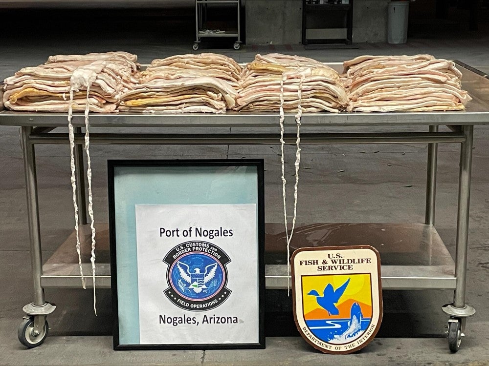 US Customs Seize $2.7 Million Worth of Swim Bladders