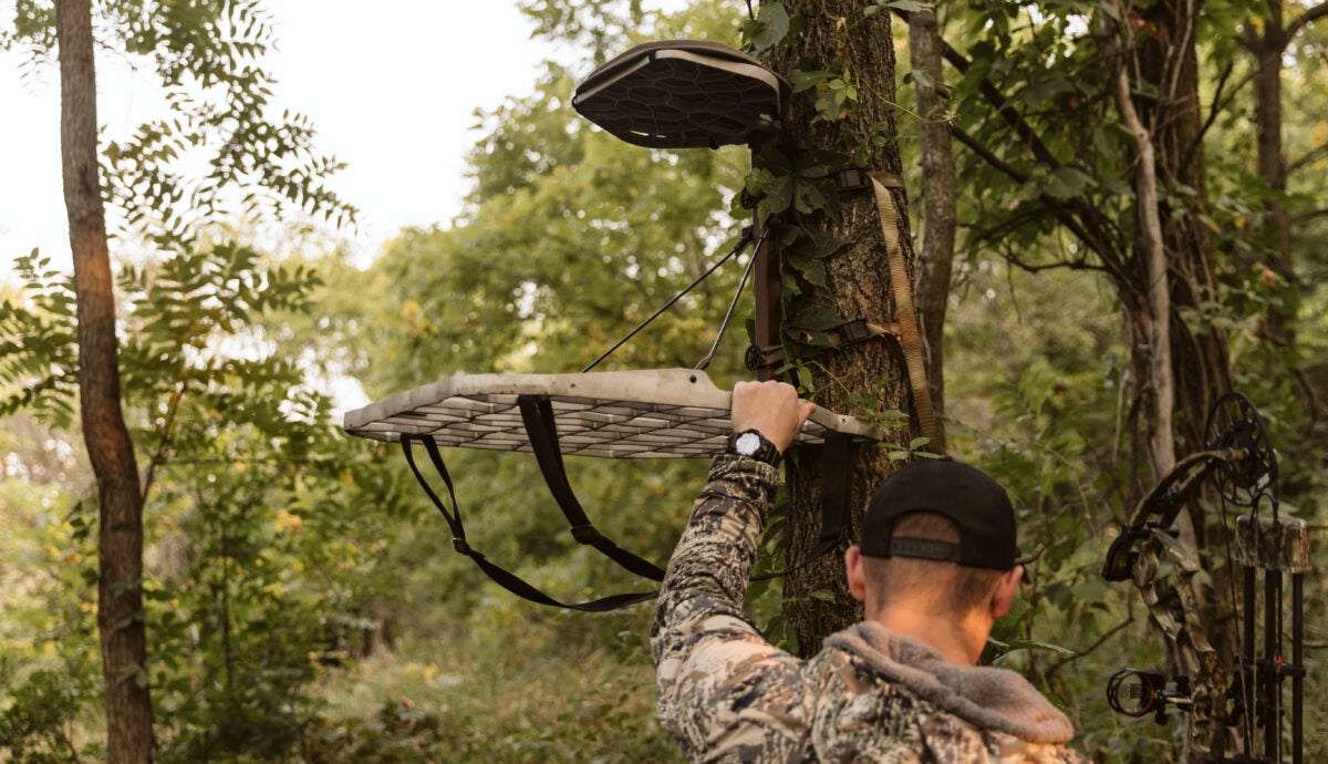 treestands