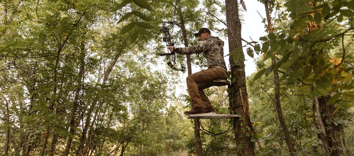 treestands